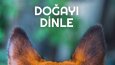 Sosyal Medya post Tasarımları