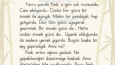 Hikâye Örneği