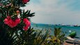 Çektiğim ve Düzenlediğim Fotoğraflar