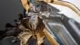 Ürün fotoğrafçısı
