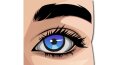 Illustrasyonel Çizim