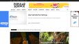 Blog anahtar teslim web siteleri