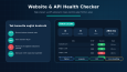 Website ve API Sağlık Kontrol Aracı
