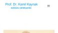 Wordpress Ve Wix Kurumsal Web Tasarım