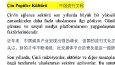 Akademik Çeviri 