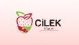 Çilek Vize-Web Arayüz Tasarımı