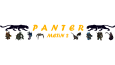 panter kanalı için minimalist logo tasarımı yaptım