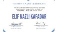 İNGİLİZCE HER İŞ!