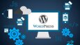 Wordpress Altyapılı Websiteleri
