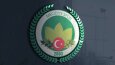 Mecidiyespor