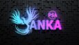 ANKA PSA