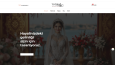 Profesyonel WordPress Web Sitesi - SEO ve Hız Dahil