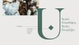 Beluventa - Logo Tasarımı