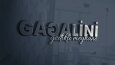 Logo Tasarımı Örnekleri