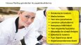 Broşür, Katalog ve Flyer
