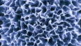 Generative