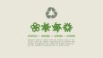 EarthWise - Recycling Branding