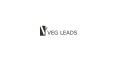 Vegleads Logo