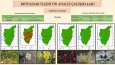  ArcGIS ile yapılmış olan harita ve analizler