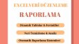 Google Sheets ile Dinamik Veri Yönetimi ve Raporlama
