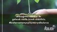 Galata Lojistik Post Tasarımları