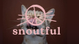 Snoutful — Pet Brand Identity