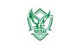 LOGO PROFESÖRÜ