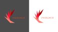 Minimalist Logo Portfolyosu