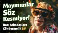 Banner Tasarımları