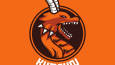 Profesyonel Gaming Logo Tasarımı 