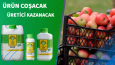 Firma Reklamları