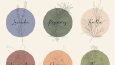 Zest Aromatherapy