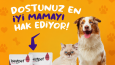 ÜRÜN/REKLAM TASARIMLARI