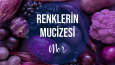 Instagram İçerik Serisi-Renklerin Mucizesi