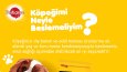 Sosyal Medya Tasarım Çalışmaları