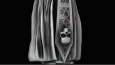 WARRIOR SCULPT