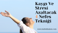 Sosyal Medya İçerik