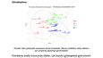 Ülkelerin Sosyo-Ekonomik Segmentasyonu (Clustering Analysis)
