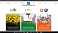 Profesyonel Web Sitesi & Uygulamaları Tasarımı