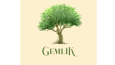 Gemlik Zeytinyağı