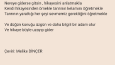 Şarkı çevirisi