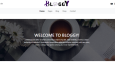 Bloggy, Blog Sayfası