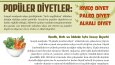 Beslenme Dergi Tasarımı