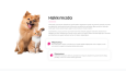 CleenyPet Landing Website Tasarımı