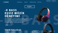 Web tasarımı 