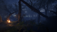 The Heart of The Forest