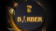 Ben, size özel ve kaliteli logo tasarlayabilirim! 