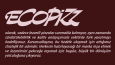 EcoPizz İçin Kurumsal Kimlik Tasarımı