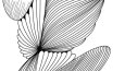 zentangle tasarımları