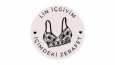 Lin - Konsept Logo Tasarımı 